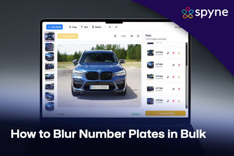 bulk license plate blur